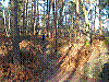 Fontainebleau_2010-01-03_11h26_02.jpg Fontainebleau_2010-01-03_11h26_02.jpg
